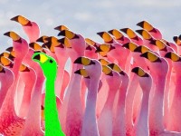 STAND OUT OR GET OUT: How to escape mediocrity and do the work you love