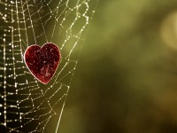 When it Comes to Love, Could You Have it All Wrong?