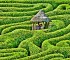 maze2