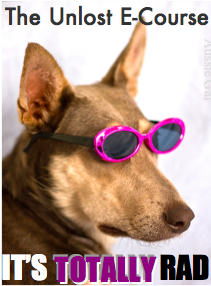 totally rad 2