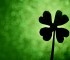 4 leaf clover